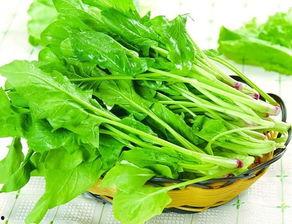 菠菜最新爆料,揭秘娱乐圈惊人内幕