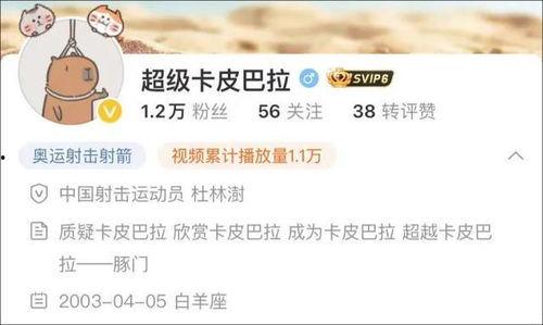 卡哥最新爆料视频下载,行业动态大揭秘！